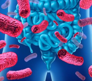 Microbiote, la beauté qui vient de l’intérieur